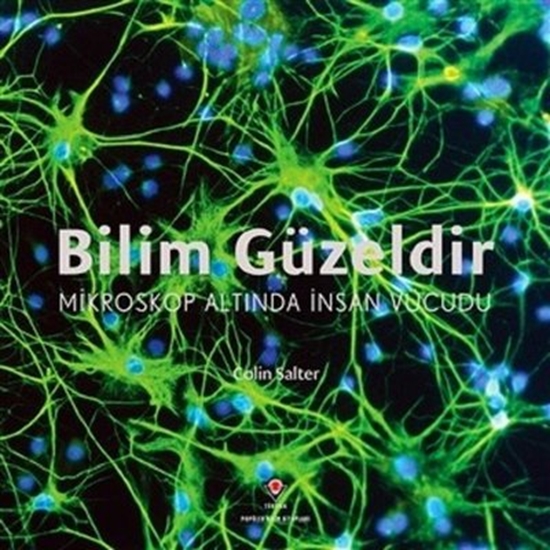 Bilim Güzeldir Mikroskop Altında İnsan Vücudu